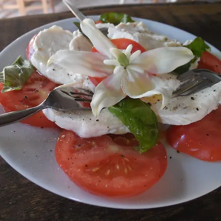 Pensión Srdečná - Rodinný 3*