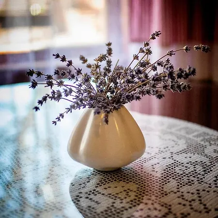 Srdečná - Rodinný Pensión